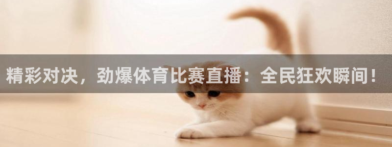 精彩对决，劲爆体育比赛直播：全民狂欢瞬间！