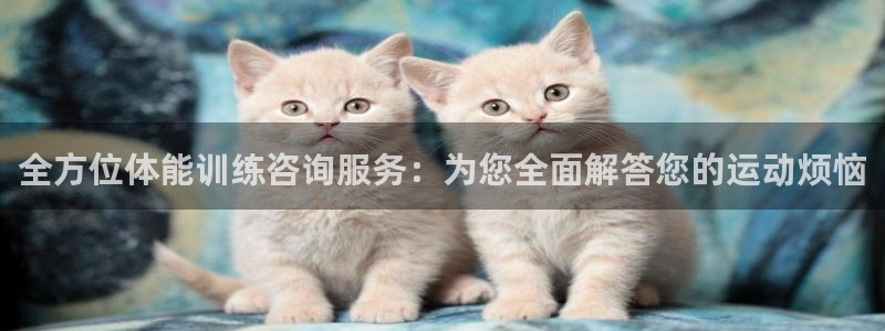 全方位体能训练咨询服务：为您全面解答您的运动烦恼