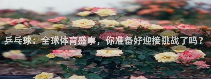 乒乓球：全球体育盛事，你准备好迎接挑战了吗？