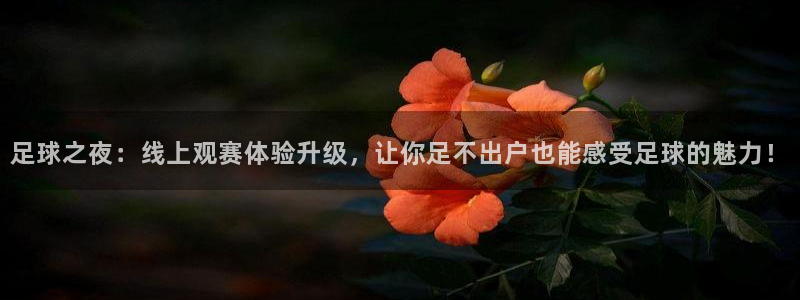 足球之夜：线上观赛体验升级，让你足不出户也能感受足球的魅力！